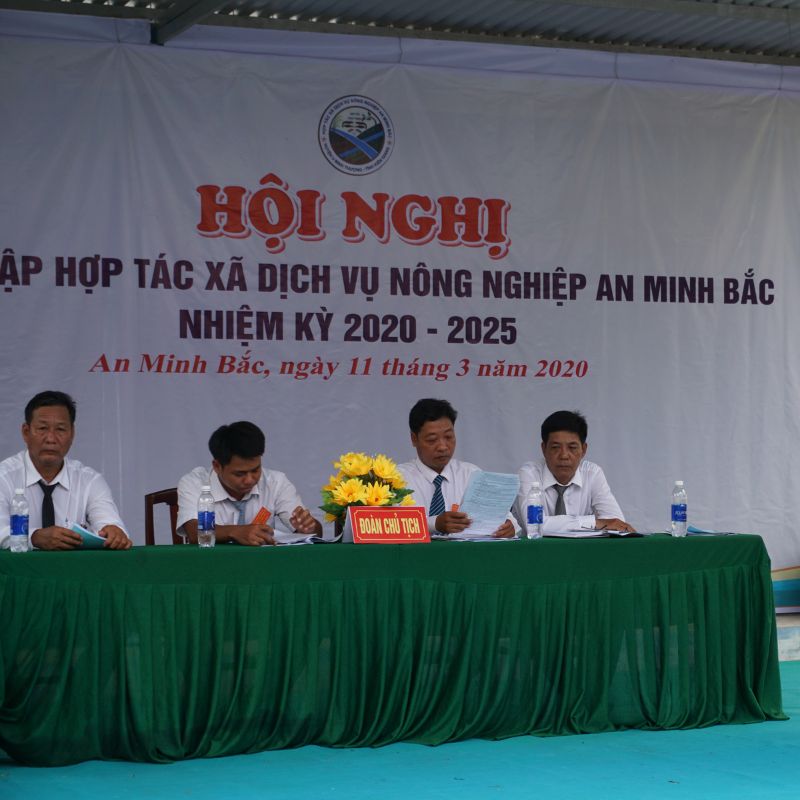 Báo cáo tài chính của hợp tác xã nông nghiệp như thế nào?