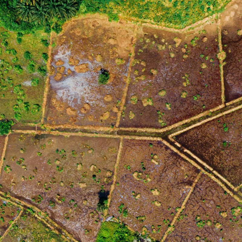 Quy định về xác định nguồn gốc sử dụng đất tại Việt Nam