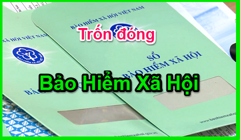 Doanh nghiệp không đóng bảo hiểm xã hội cho người lao động xử lý sao.