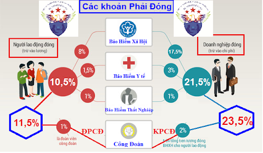 Cá nhân có được khai thác thông tin trong cơ sở dữ liệu quốc gia về bảo hiểm?