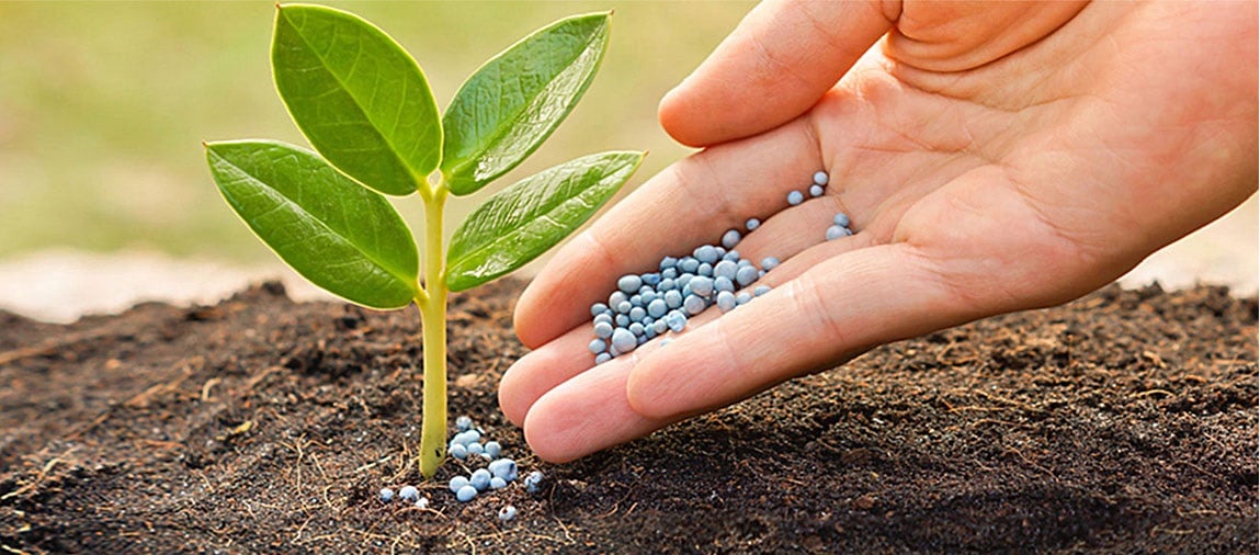 Nghị định 18/2020/NĐ-CP về xử phạt vi phạm hành chính trong lĩnh vực đo đạc và bản đồ