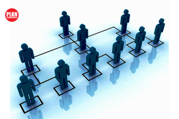 mẫy giáy chứng nhận cho thuê lại lao động