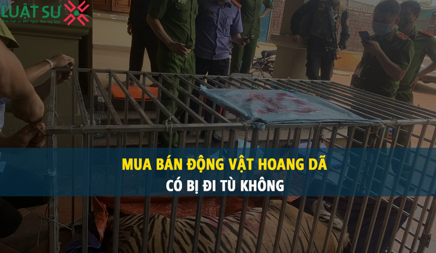 Mua bán động vật hoang dã có bị đi tù không?