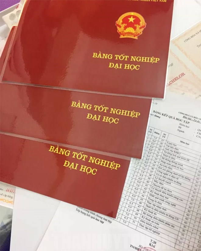 Viên chức dùng bằng giả bị xử lý như thế nào?