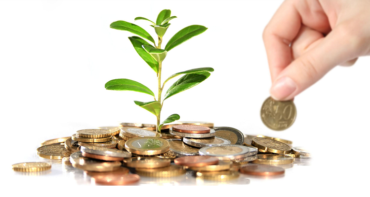 Chuyển giao quyền đối với giống cây trồng