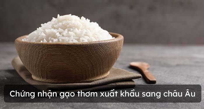 Nghị định 103/2020/NĐ-CP