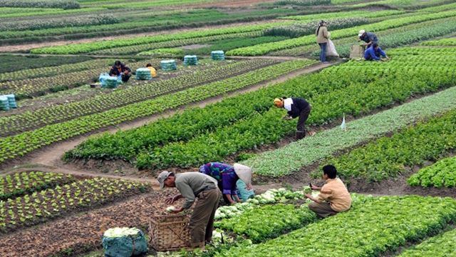 Nghị định 58-2018-NĐ-CP về bảo hiểm nông nghiệp