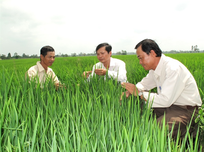 Nghị định 83-2018-NĐ-CP quy định về khuyến nông