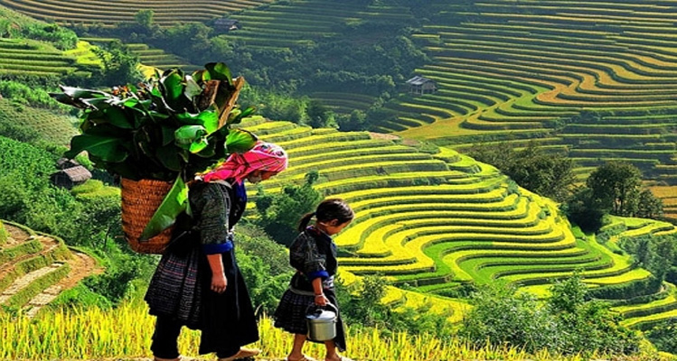Thành lập hộ kinh doanh tại Lai Châu