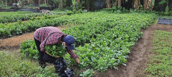 thông tư 33/2021/ TT-BTC