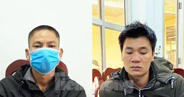 Giấu ma tuý trong móng trâu bị xử lý như thế nào theo quy định?