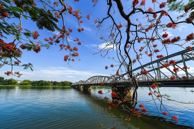 Thủ tục đăng ký bảo hộ nhãn hiệu tại Thừa Thiên Huế