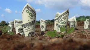 Nghị định 79/2019/NĐ-CP sửa đổi Nghị định 45/2014