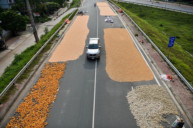 Phơi lúa, rơm rạ trên đường bị xử phạt tiền như thế nào theo quy định?