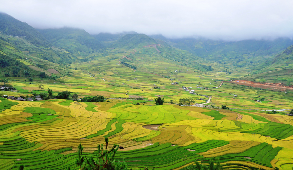 Review hợp đồng hợp tác đầu tư tại Yên Bái