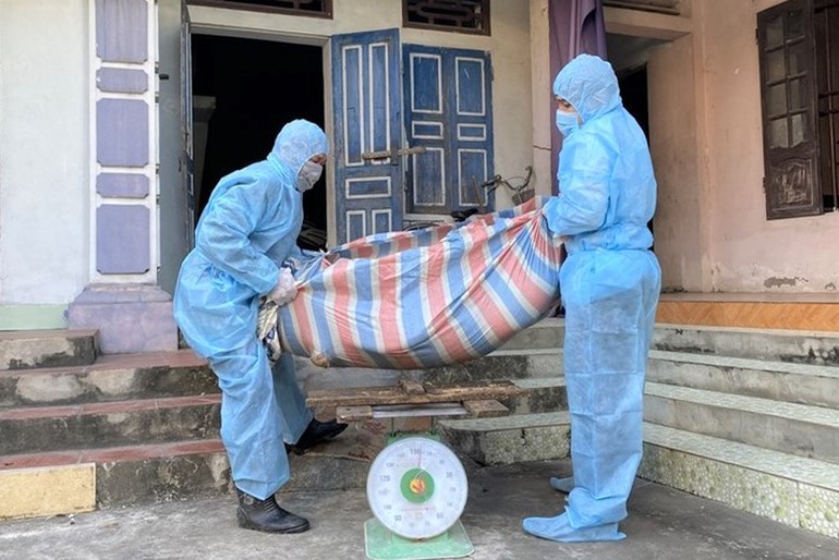 Cán bộ nâng khống trọng lượng lợn tiêu hủy bị xử lý như thế nào?