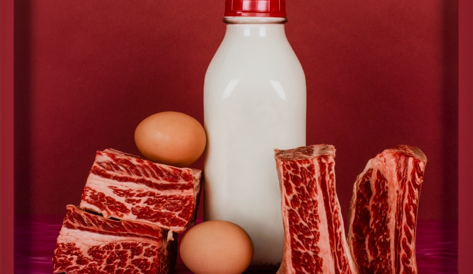 Chế độ bồi dưỡng bằng hiện vật theo quy định?