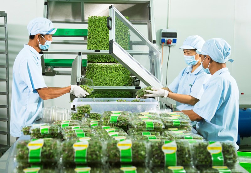 Quyết định 638/QĐ-UBND năm 2021 của UBND tỉnh Hậu Giang