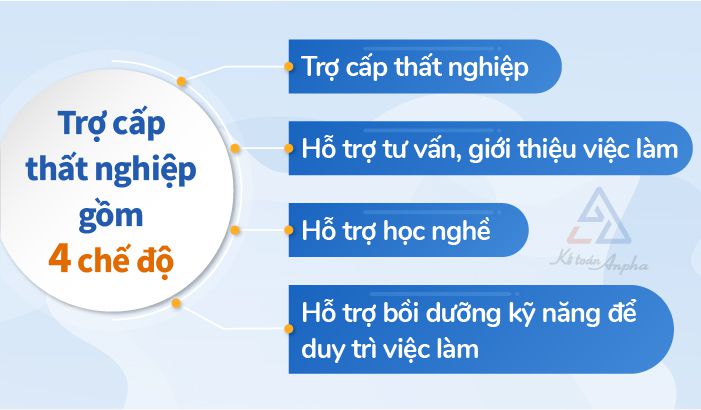 Cách viết đơn đề nghị hưởng trợ cấp thất nghiệp theo quy định hiện hành