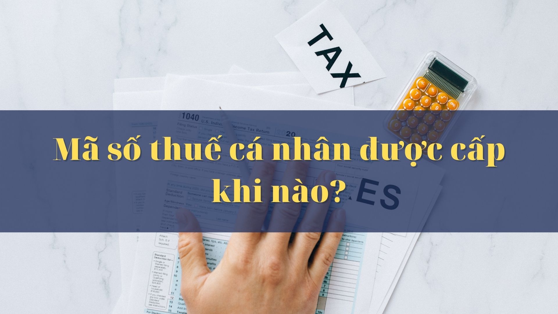 Mã số thuế cá nhân được cấp khi nào theo quy định?