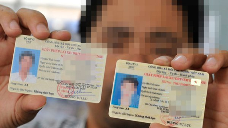 Hướng dẫn cách tra cứu giấy phép lái xe thật hay giả