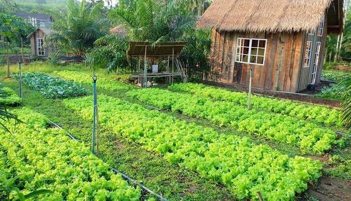 Bảng giá chuyển đổi đất nông nghiệp sang đất thổ cư