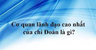 Cơ quan lãnh đạo cao nhất của chi đoàn