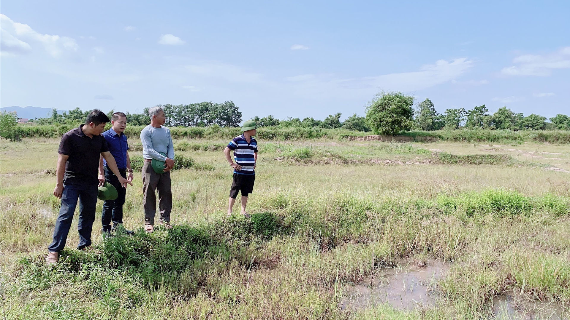 Đất nông nghiệp bỏ hoang có được chuyển thành đất thổ cư