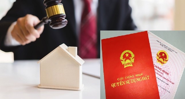 Dịch vụ tư vấn thủ tục đấu giá quyền sử dụng đất