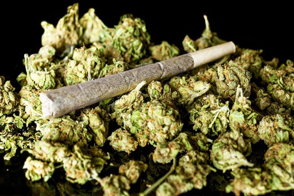 Sử dụng cần sa bị phạt như thế nào