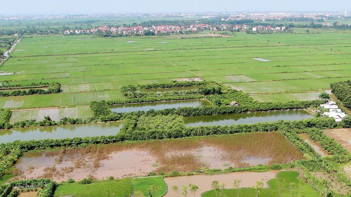 Hợp tác xã có tư cách pháp nhân khi nào?