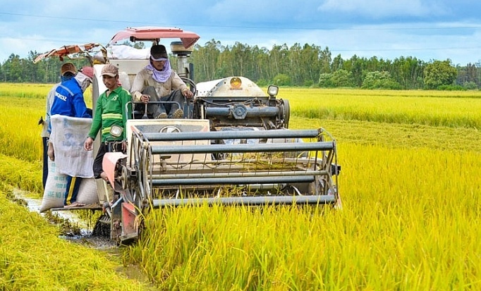 Lãi suất vay vốn Hội nông dân hiện nay là bao nhiêu?