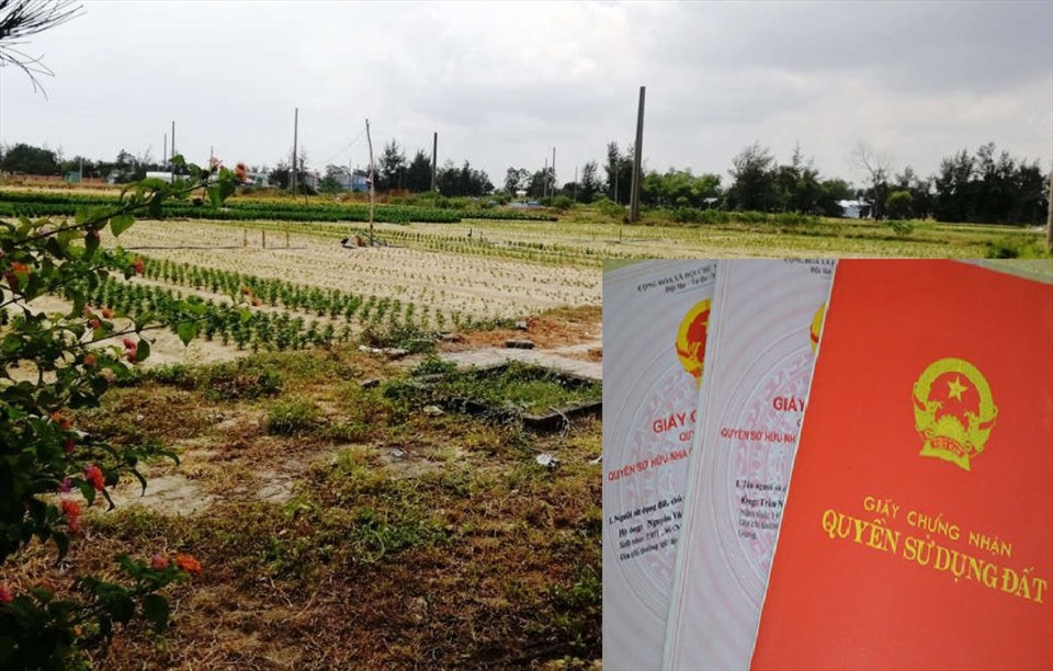 Quy định về cho thuê đất công ích của xã như thế nào