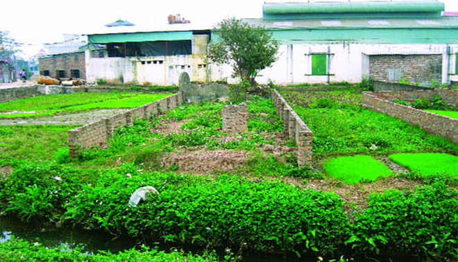 Xây nhà trên đất vườn bị phạt như thế nào?