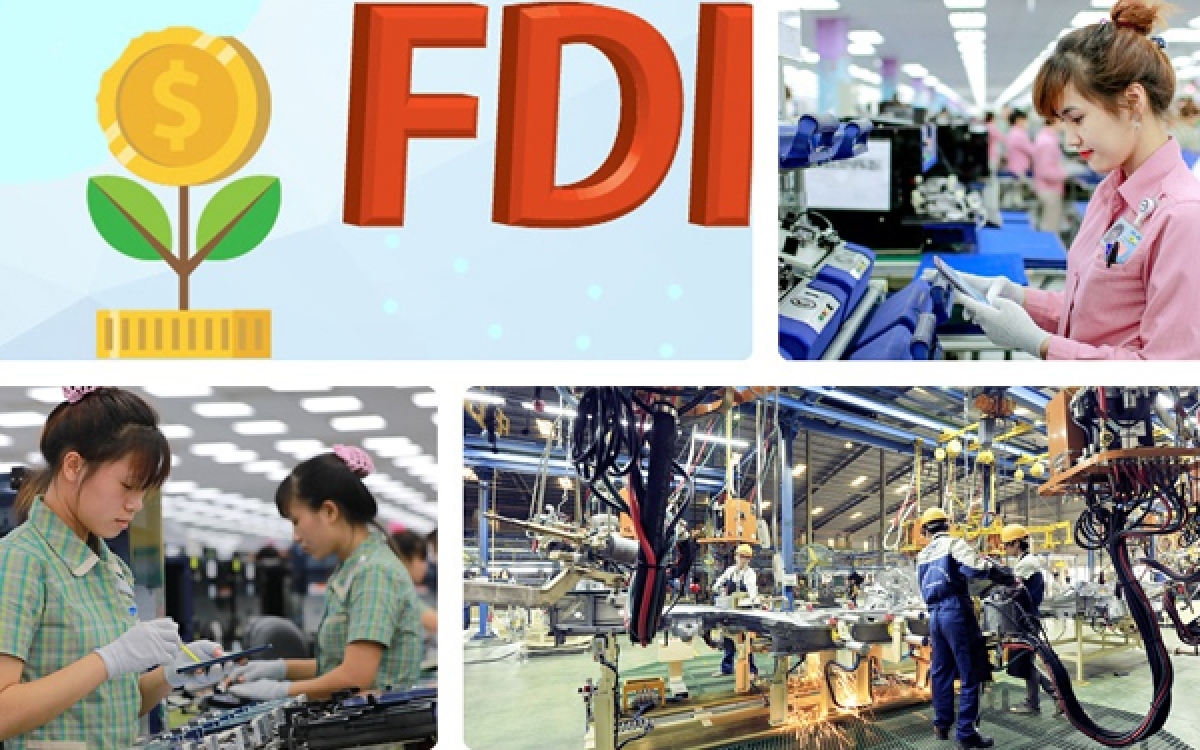 So sánh doanh nghiệp FDI và doanh nghiệp chế xuất