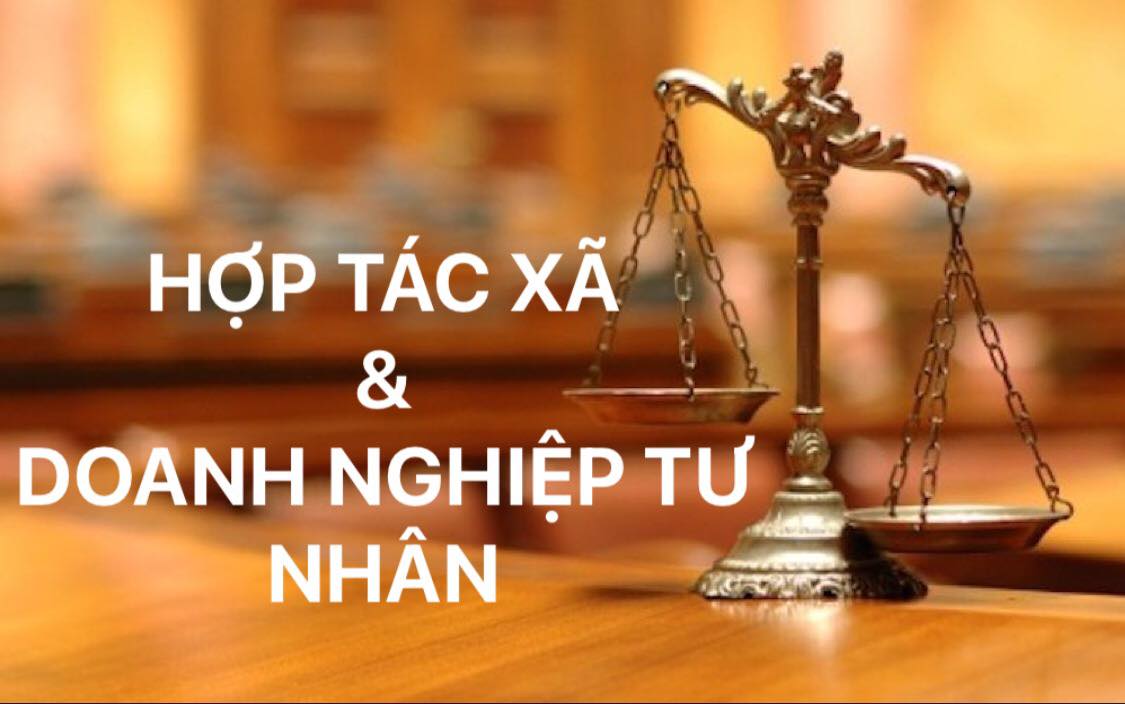 So sánh hợp tác xã và doanh nghiệp tư nhân