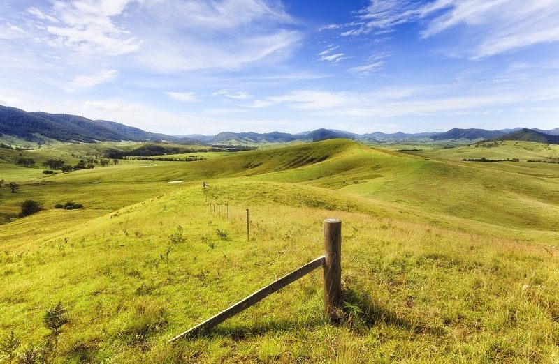 Các loại mẫu đơn về đất đai