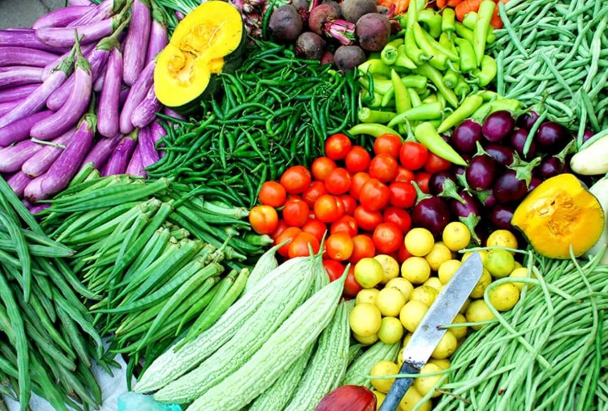 Đơn đề nghị cấp Giấy phép kiểm dịch thực vật nhập khẩu