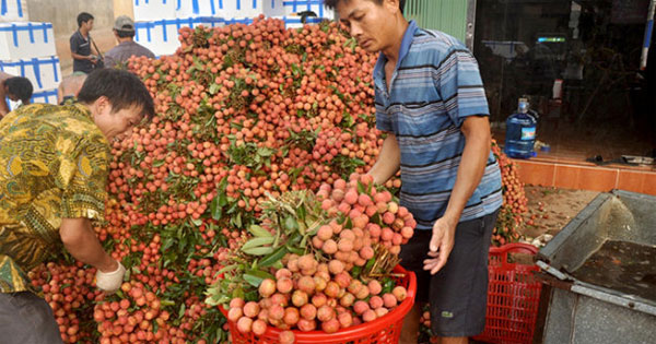 Hợp đồng tiêu thụ nông sản hàng hóa