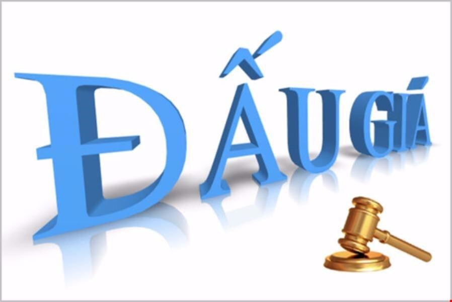 Mẫu Quyết định phê duyệt kết quả trúng đấu giá