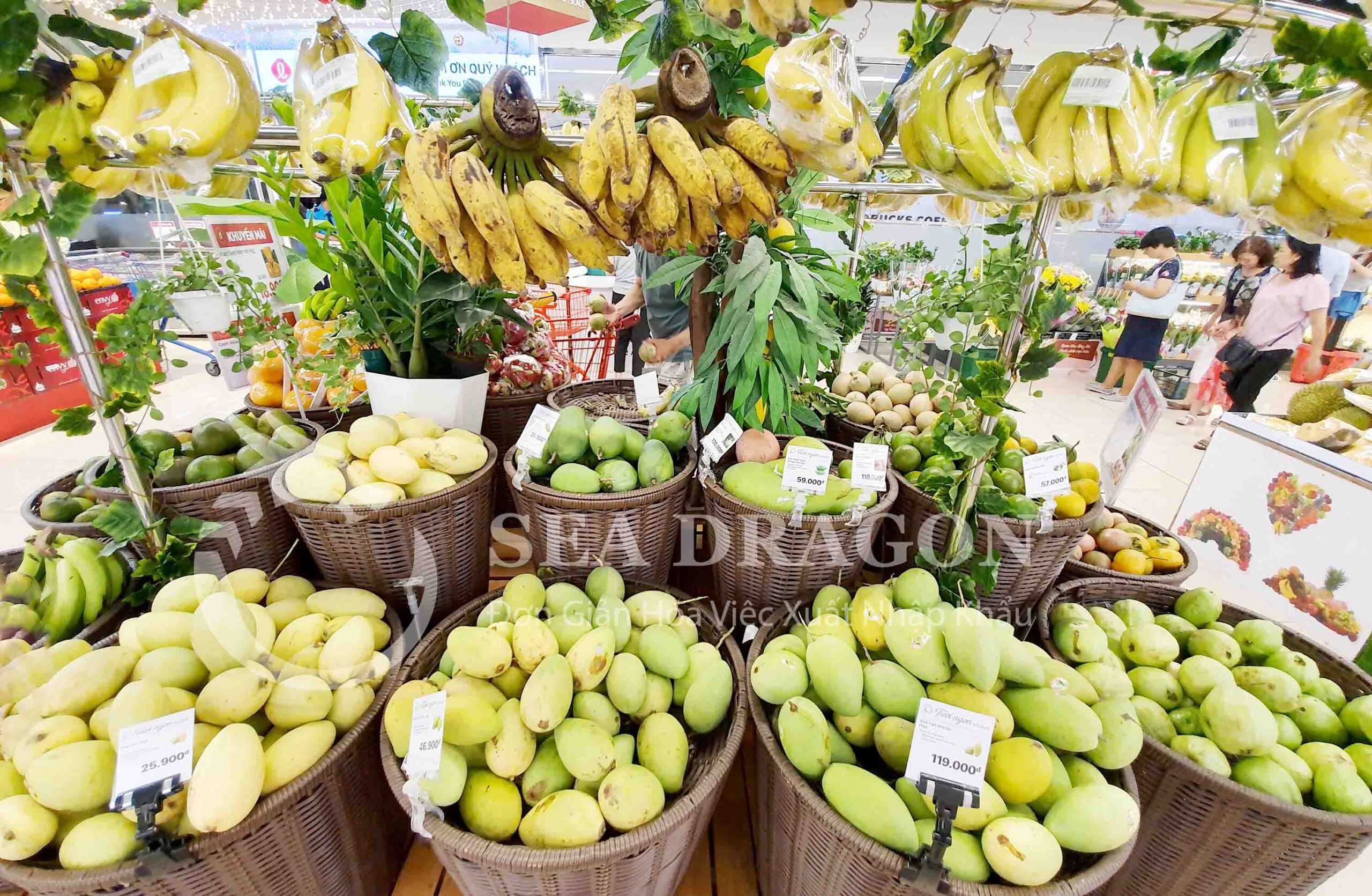 Mẫu đơn đăng ký kiểm dịch thực vật xuất khẩu