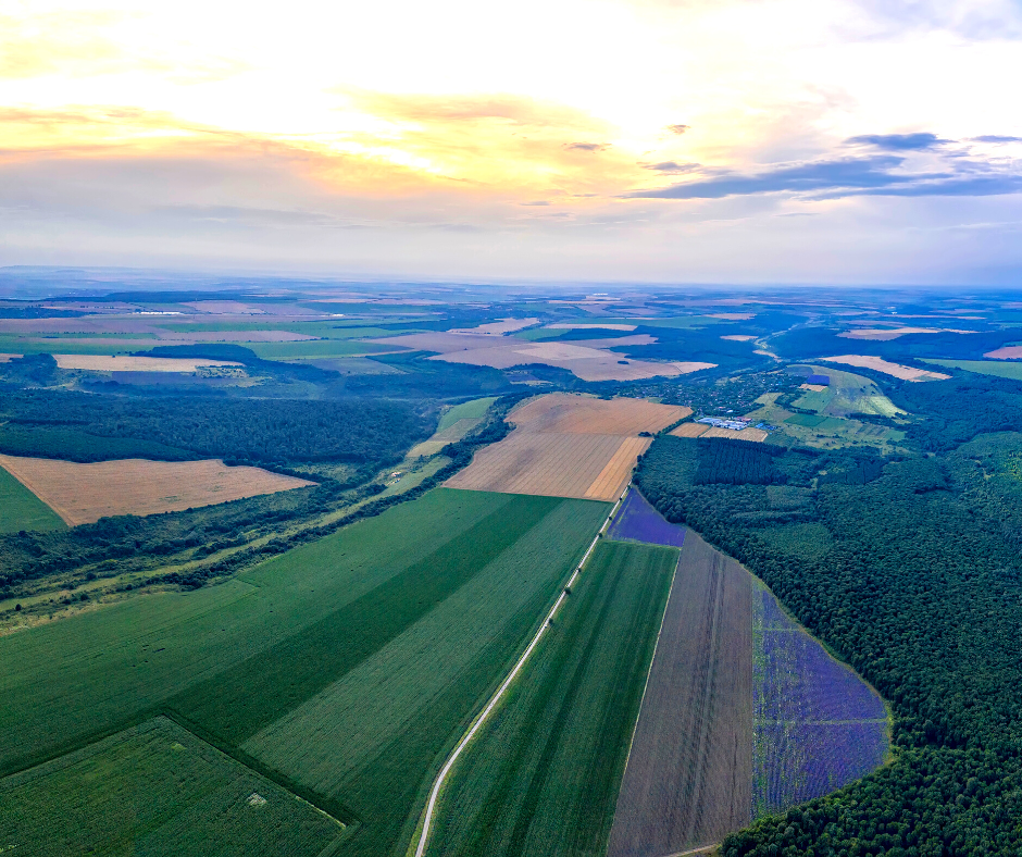 Tải mẫu đơn xin xác nhận tình trạng thửa đất mới năm 2022