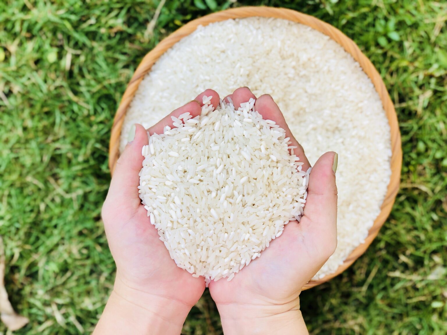 Mẫu hợp đồng xuất khẩu gạo mới năm 2022