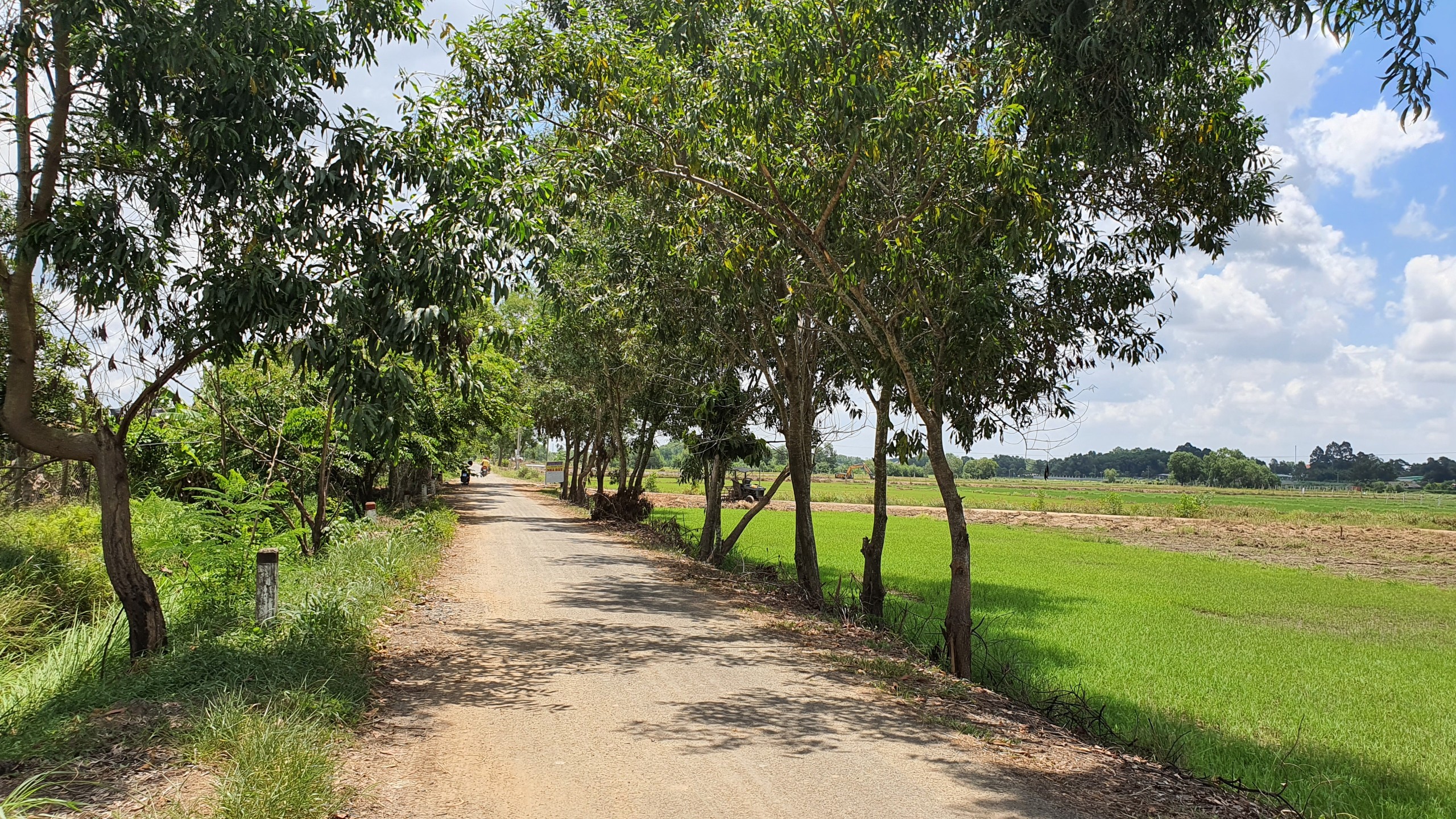 Mua đất giấy tay có xây nhà được không