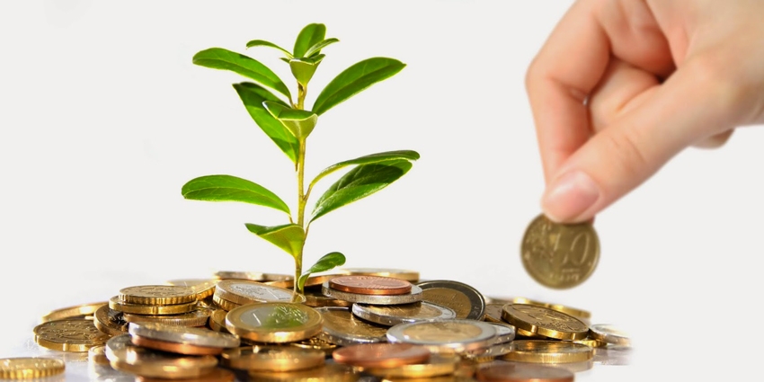 Tiền đóng vào công ty bảo hiểm được đầu tư như thế nào?