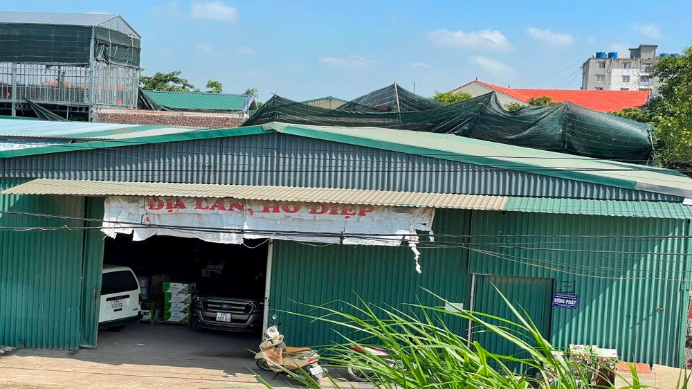 Xây dựng trái phép trên đất của người khác bị xử lý thế nào?