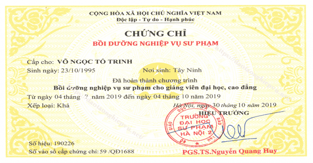 Xin cấp lại chứng chỉ nghiệp vụ sư phạm