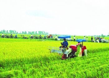 Chính sách bảo hiểm nông nghiệp ở Việt Nam mới nhất