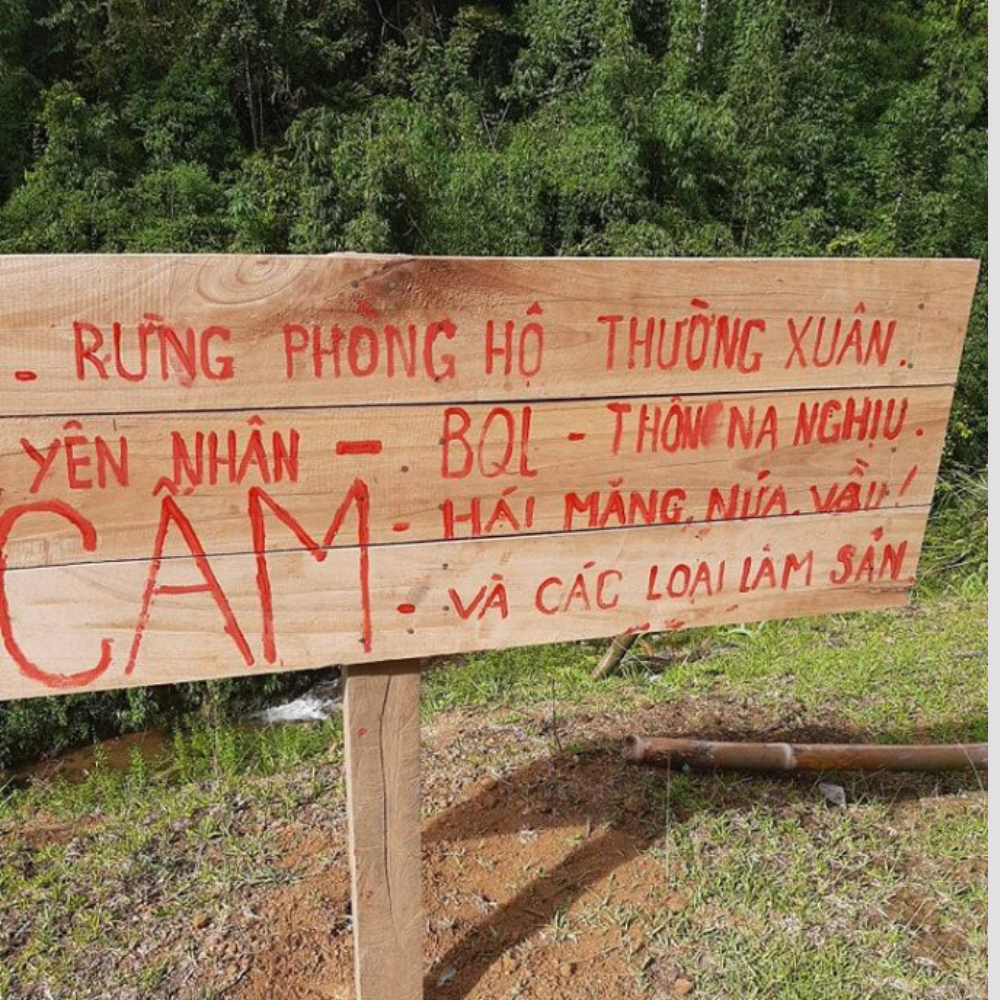 Chuyển đổi đất rừng phòng hộ sang đất ở có được không?