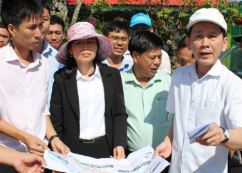 Cò đất có phải nộp thuế không?